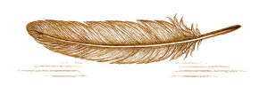 Sepia-toned illustration of a single feather—used as a visual motif for empowering stories for young readers, symbolizing creativity, reflection, and flight.