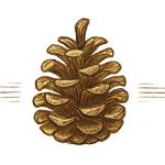 Illustrated pinecone separator—symbol of nature and quiet strength, used to guide readers through empowering stories for young readers.