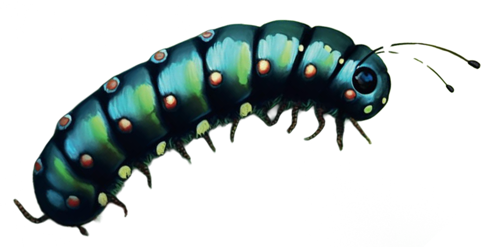 Cartoon illustration of a little green segmented worm with yellow dots on its side.